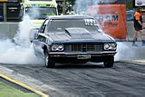 DSC08977.jpg
78.32 KB 
800 x 535 
