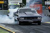 DSC08978.jpg
74.79 KB 
800 x 535 

