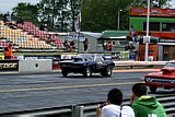 DSC01826.jpg
103.03 KB 
