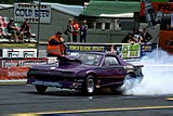 DSC01833.jpg
81.22 KB 
