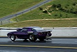 DSC01843.jpg
63.75 KB 
