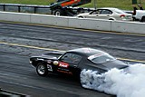 DSC02793.jpg
67.65 KB 
