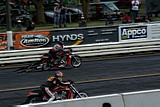 DSC03505.jpg
73.06 KB 
