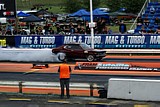 DSC03536.jpg
88.32 KB 
