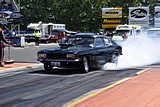 DSC04906.jpg
96.24 KB 
