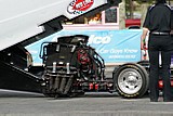 DSC03493.jpg
82.36 KB 
