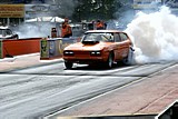 DSC03809.jpg
78.10 KB 
