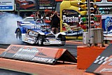 DSC09247.jpg
89.66 KB 
