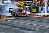 DSC09564.jpg
80.83 KB 
