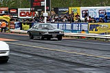 DSC09593.jpg
99.32 KB 
