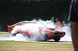 Motueka_6_2_10_313.jpg
94.79 KB 
