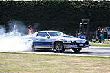 Motueka_6_2_10_331.jpg
129.50 KB 
