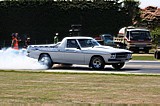 Motueka_6_2_10_341.jpg
140.63 KB 
