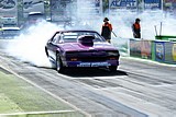 DSC08316.jpg
83.47 KB 
