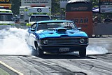 DSC08330.jpg
77.12 KB 

