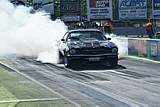 DSC08337.jpg
78.67 KB 
