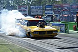 DSC08343.jpg
90.32 KB 
