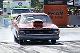 DSC08351.jpg
79.80 KB 
