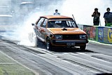 DSC08365.jpg
74.07 KB 
