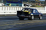 DSC08803.jpg
74.00 KB 
