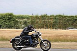 Motueka_17109_005.jpg
62.26 KB 
