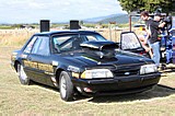 Motueka_17109_055.jpg
104.56 KB 

