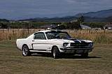 Motueka_17109_060.jpg
71.04 KB 
