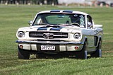 7309_019.jpg
76.29 KB