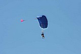 7309_030.jpg
23.81 KB