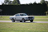 7309_041.jpg
66.24 KB
