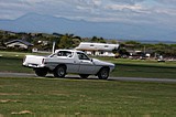 7309_059.jpg
58.34 KB
