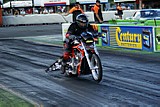 DSC07802.jpg
378.53 KB 
