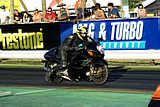 DSC07964.jpg
369.71 KB 
