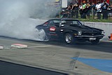 DSC03697.jpg
285.50 KB 
