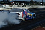 DSC03532.jpg
60.14 KB 
