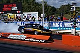 DSC06306.jpg
87.53 KB 
