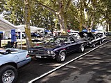 DSC02303.jpg
160.54 KB 
