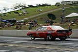 DSC01406.jpg
63.08 KB 

