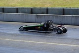 DSC05234.jpg
157.38 KB 
