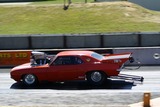 DSC05657.jpg
152.90 KB 
