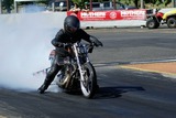 DSC05750.jpg
161.43 KB 
