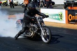 DSC05755.jpg
211.42 KB 
