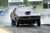 DSC06879.jpg
68.25 KB 
