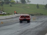 DSC06931c.jpg
59.53 KB 
