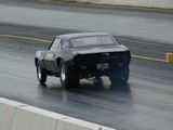 DSC07133c.jpg
54.85 KB 
