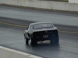 DSC07134c.jpg
49.65 KB 
