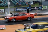 DSC00865.jpg
110.76 KB 
