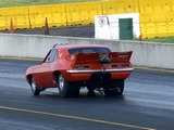 DSC00872ce.jpg
77.40 KB 
