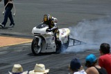 DSC01302.jpg
69.04 KB 
