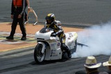 DSC01304.jpg
68.51 KB 
